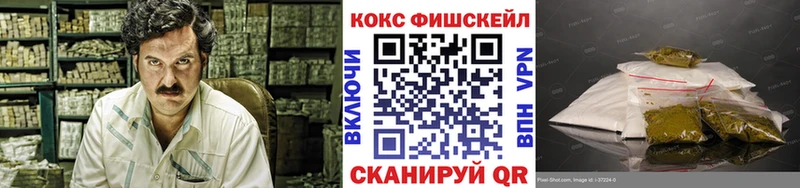 закладки  Барабинск  Кокаин FishScale 
