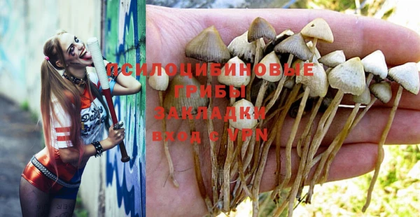 Альфа ПВП Балахна